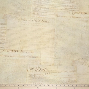 108" Cotton We the People Constitution Preamble USA United States American Patriot Cotton Fabric Print by the Yard D262.06 by Robert Kaufman