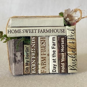Country Chic Sammlung von Miniaturbüchern