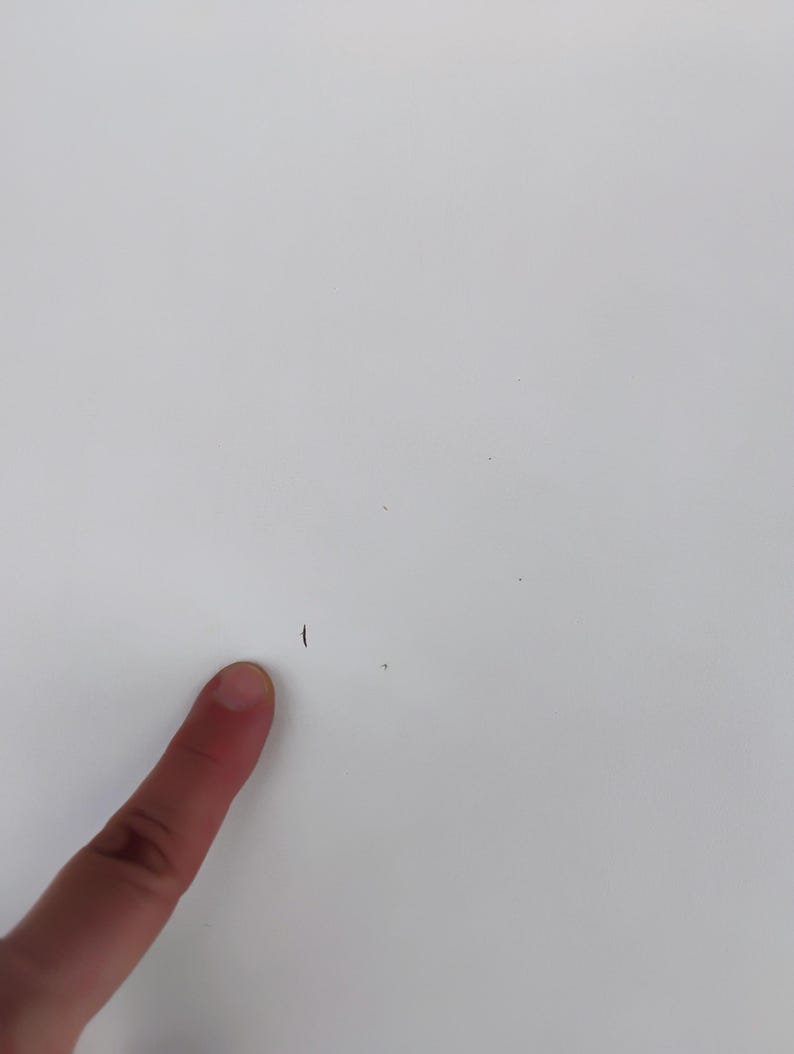 May include: A close-up of a white surface with a small dark mark and a finger pointing towards it. The surface is smooth and clean, with a few tiny imperfections.