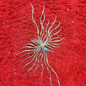 May include: A silver-colored metal sculpture with a central circular element and radiating, curved tendrils. The tendrils have gold-colored accents. The sculpture is displayed on a red, textured surface.