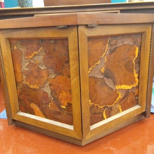May include: A wooden cabinet with two doors. The doors feature a unique design with brown and orange patterns. The cabinet has a rectangular shape and is made of wood. The cabinet is a piece of furniture.