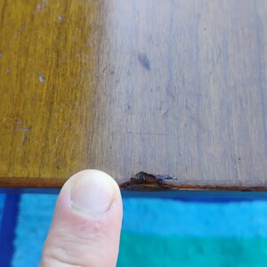 May include: Close-up of a wooden table top with a small chip or crack in the finish. The table top is a light brown color and the chip is a darker brown.