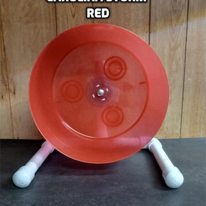 The Carolina Storm Bucket Wheel, custom made for hedgehogs, Syrian hamsters and more. Red (translucent)