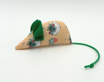 Kattenkruid muis kattenspeeltje, vetplanten, bloemen
