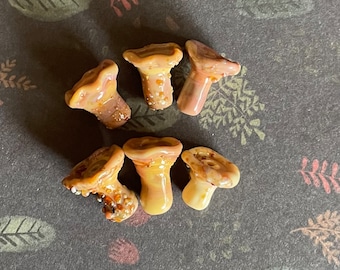 Chanterelle mushies made to order. Set of 6