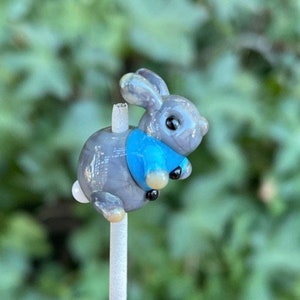 Tiny rabbit wearing a blue jacket.