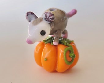 Opossum and his pumpkin