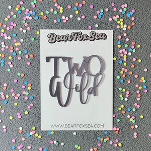 Two Wild Acrylic Cake Topper: 2nd Birthday Decor