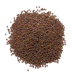 Mustard Seed, Brown - Whole Seed, Hotter than Yellow - 2Lb
