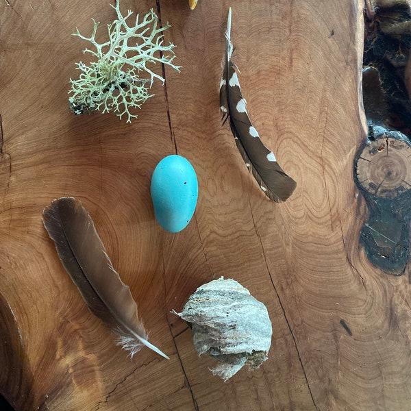 Delicate and Natural Found Object Collection