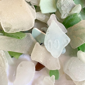 Authentische Puget Sound Sea Glass · Hand gesammelt Beachcombed Küstendekor · Aqua, Grün, milchig Weiß, Braun Surf getrommelt 3 Pfund 13 Unzen Geschichte