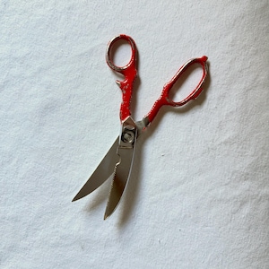 Könnte beinhalten: Küchenscheren mit roten Griffen und Edelstahlklingen. Die Schere hat eine gezahnte Kante an einer Klinge und eine glatte Kante an der anderen. Die Griffe sind leuchtend rot und die Klingen sind silberfarben.