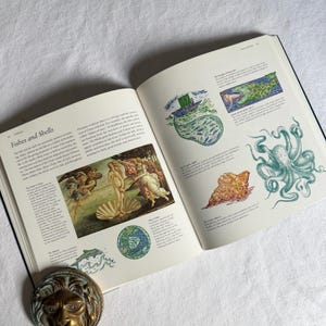 May include: An open book displaying the title "Fishes and Shells" with various illustrations. The pages show drawings of an octopus, a seashell, and a classical painting. A decorative lion head is visible at the bottom of the image.