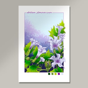 Devil's Trumpet Art Print | Digital Illustration | Floral, Flower, Nature, Horticulture, Botany, flowers, demon, devil, datura, stramonium,