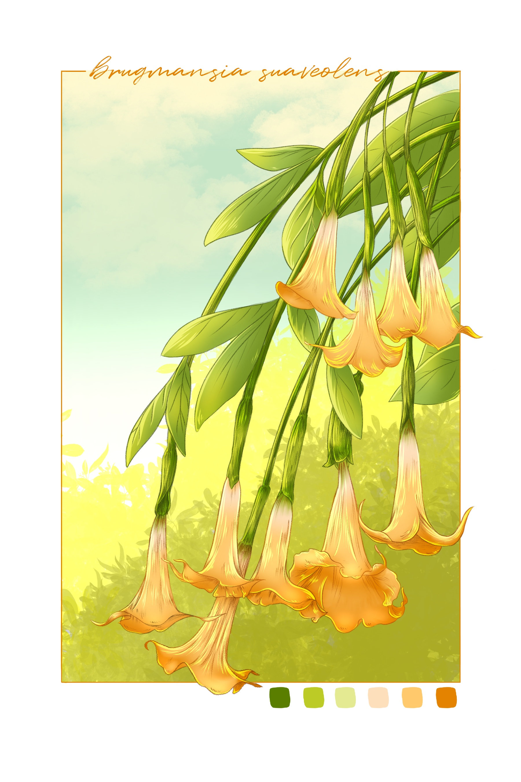 Angel's Trumpet Art Print | Digital Illustration | Floral, Flower