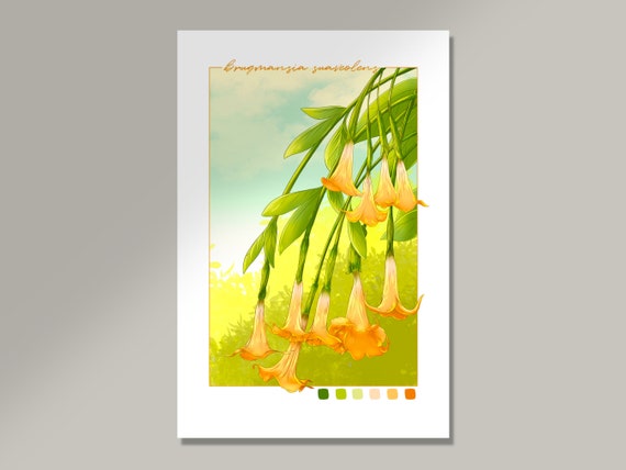 Angel's Trumpet Art Print | Digital Illustration | Floral, Flower