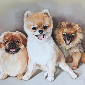 3 little dogs portrait image 1