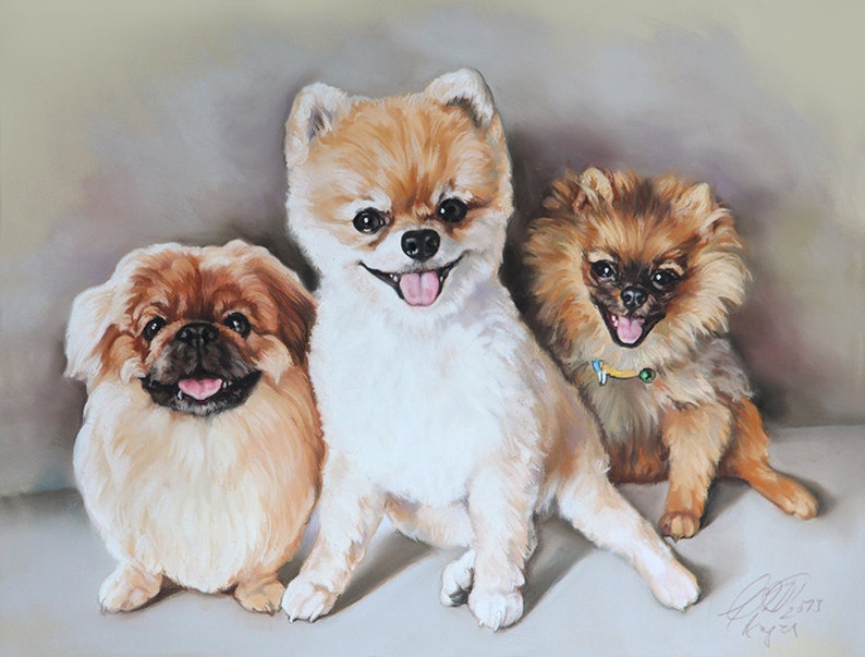 3 little dogs portrait image 1