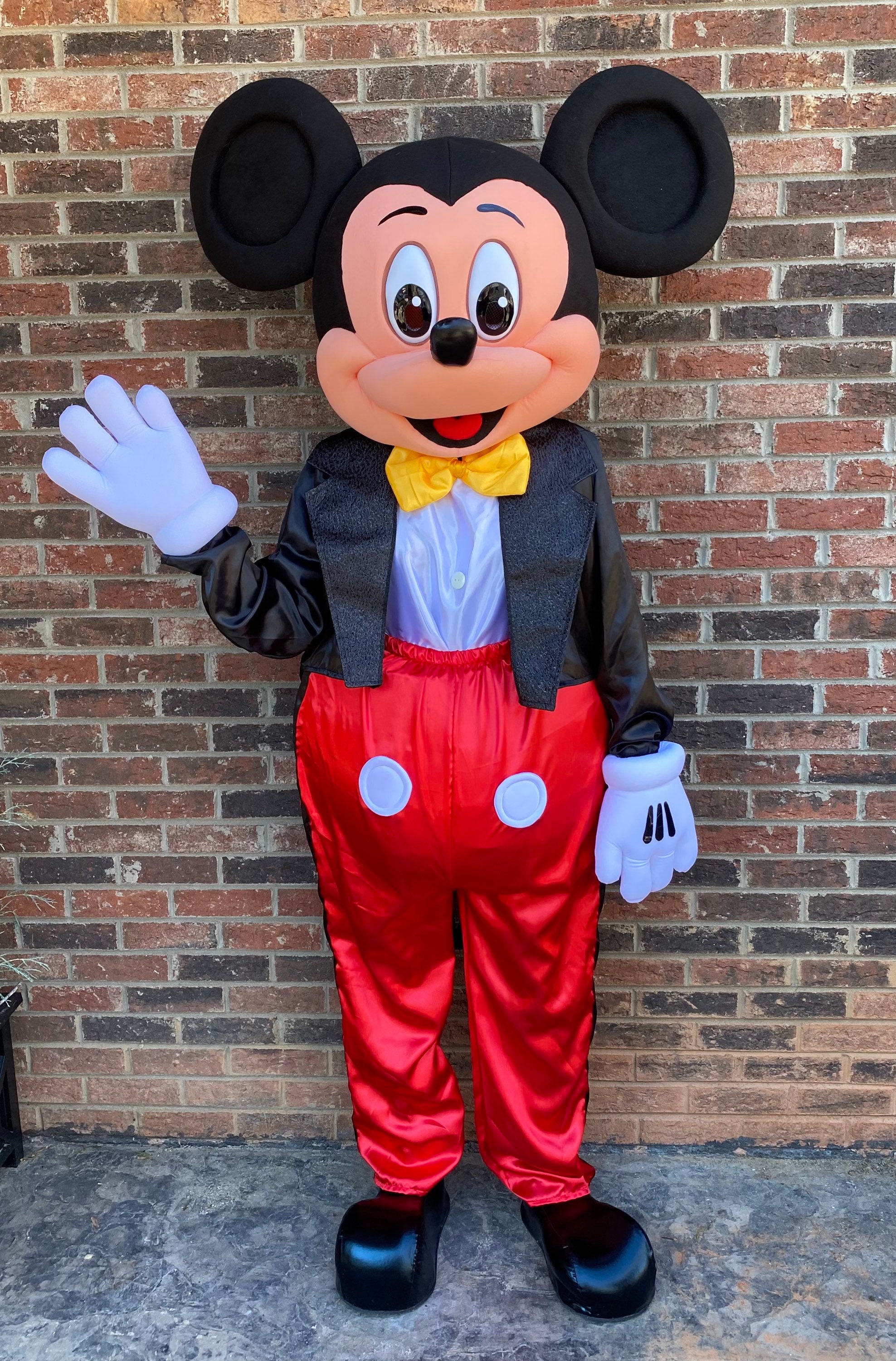 Mickey Mouse Costume Mickey Mouse Costume