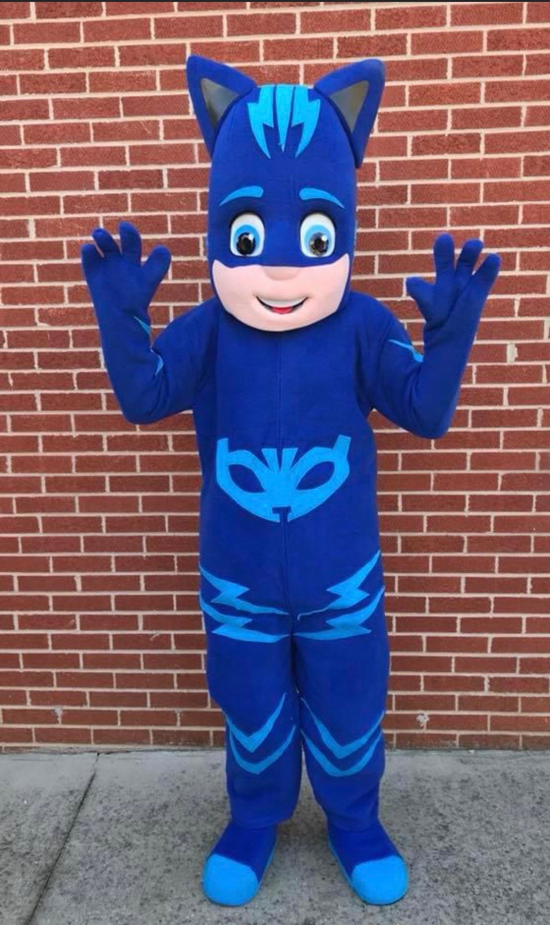 Blue Cat Mascot Costume Etsy