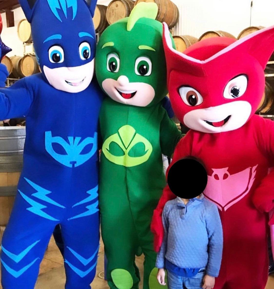 Costume Carnevale Gufetta Super Pigiamini Costumi Pigiamask Adulti