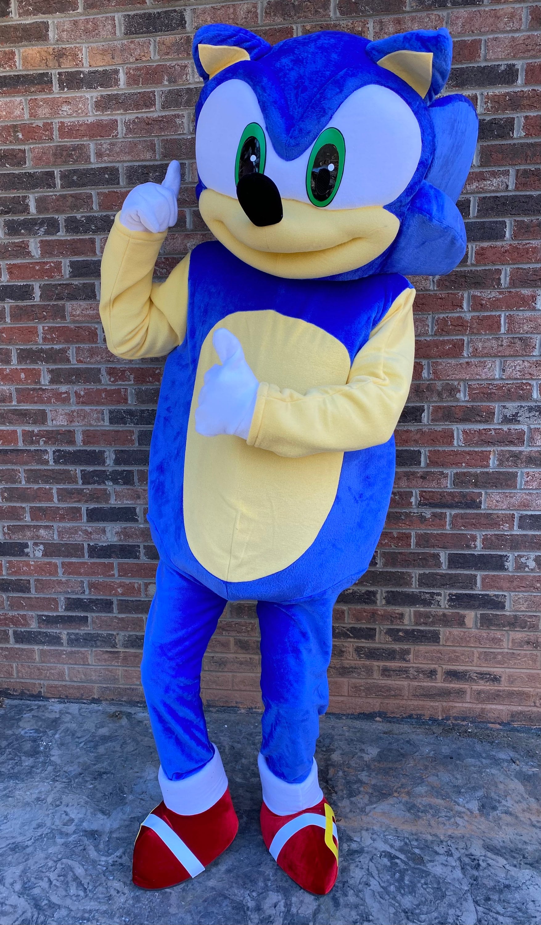 Childrens Sonic the Hedgehog Mascot Costume Sonic the hedgehog costume,  Sonic the hedgehog, Mascot costumes, fantasia do sonic barata 