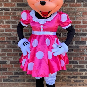 Mrs Mouse Mascot Costume