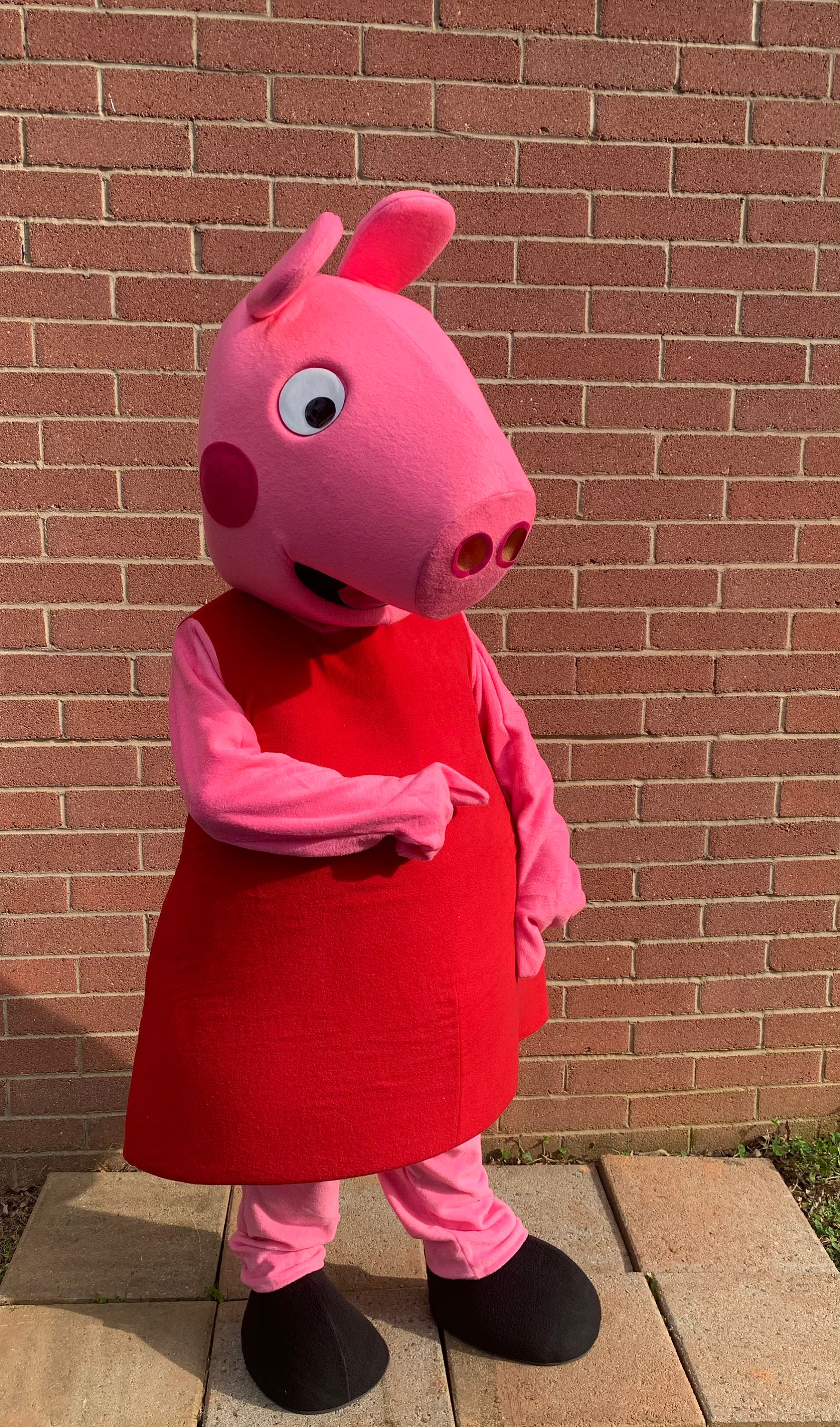 Peppa Pig Halloween Costumes