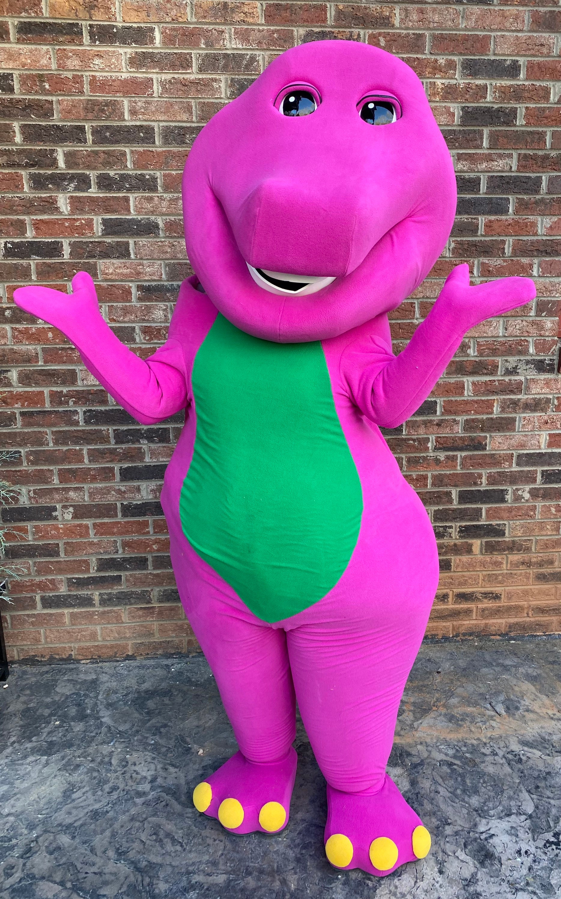 Locuinţă Ghici fluture barney costume Neîncredere continua Apasa in jos