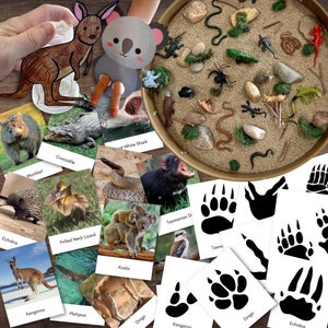 Dieren van AUSTRALIË Oceanië Fauna Flashcards Sporen Voetafdrukken Flashcards Ambacht