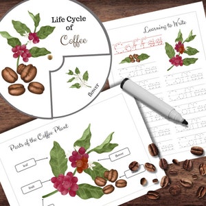 Puede incluir: Imprimibles educativos con temática de café. La imagen muestra un diagrama del ciclo de vida del café, un diagrama de las partes de la planta de café y una hoja de trabajo para aprender a escribir la palabra "Coffee". Las ilustraciones incluyen granos de café, flores y hojas.