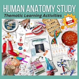 Human Anatomy Health Activity eBook: Hands-on Activities, Experiments and Crafts | Body Systems and Organs! *Digital*