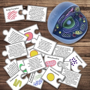 Paquete de actividad de células eucariotas animales de anatomía y fisiología / emparejamiento, tarjetas didácticas, carteles