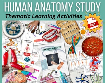 Human Anatomy Health Activity eBook: Hands-on Activities, Experiments and Crafts | Body Systems and Organs! *Digital*