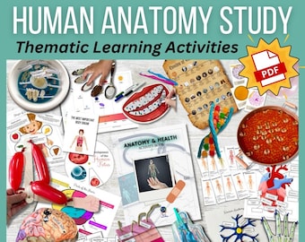 May include: A collection of colorful educational resources for learning about human anatomy. The resources include a variety of hands-on activities, such as a model of the human heart, a model of the human brain, and a model of the human skeleton. There are also several worksheets and activity books included. The text "HUMAN ANATOMY STUDY Thematic Learning Activities" is at the top of the image. A PDF icon is in the upper right corner of the image.