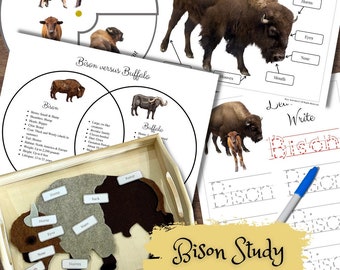 Montessori-Inspired Bison Buffalo Life Cycle Comparison Anatomy Tracing