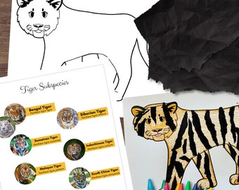 Torn Paper TIGER Craft Activity - Tiger Outline & Instructions w/Species Poster