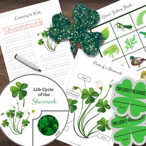 SHAMROCK Clover levenscyclus, anatomie, ambacht, Ierse zegeningen bundel