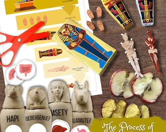 Ancient EGYPT 3D Sarcophagus Layers Craft Mummification Canopic Jars Matching