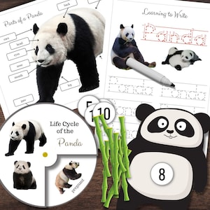 May include: A printable educational worksheet for kids featuring a black and white panda bear. The worksheet includes a diagram of the panda's body parts, a life cycle chart, and a section for practicing writing the word "panda".