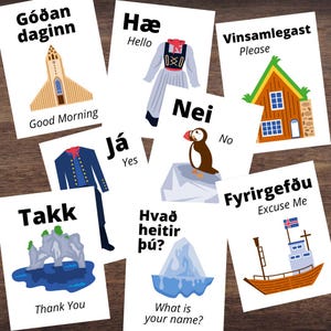 Full Color IJslandse taaluitdrukking Flashcards Kaarten IJsland Educatief
