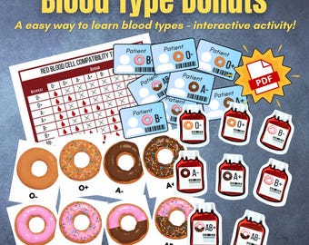 HEMATOLOGÍA Anatomía humana TIPIFICACIÓN SANGUÍNEA Actividad interactiva de aprendizaje de analogías de donas Correspondencia (tipo y factor Rh)