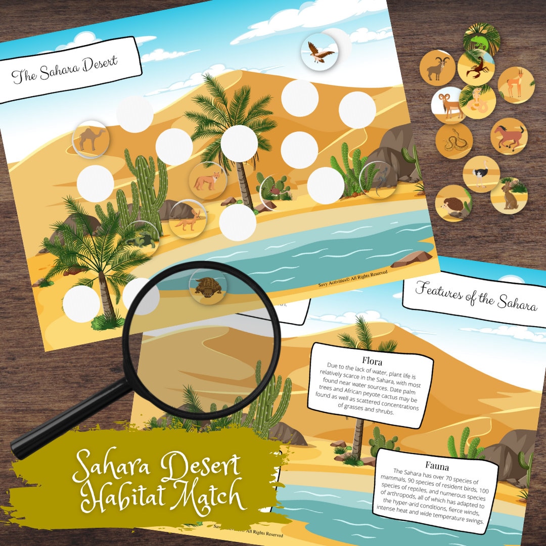 Sahara Desert Habitat Biome Matching, FULL COLOR, Information Poster Etsy
