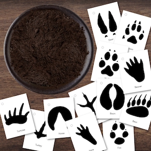Rastreamento de animais nativos da América do Norte rastreia flashcards de pegadas de atividades e "solo" DIY