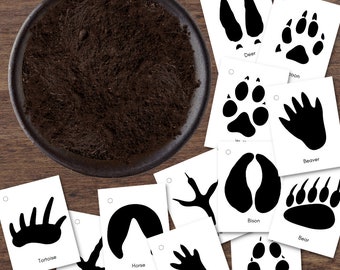 North American Native Animal Tracking Tracks Activity Footprint Flashcards & DIY "Soil"