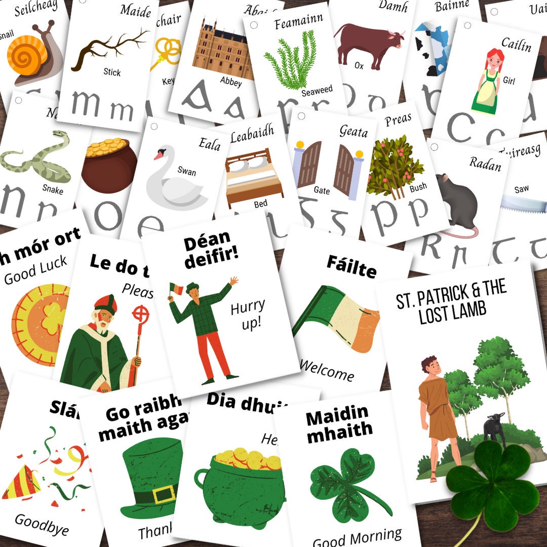 IRELAND Irish Gaelic Alphabet Phrase Language Cards Mini Book St