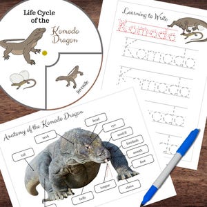 May include: Educational printables featuring Komodo dragons. Includes a life cycle diagram, anatomy chart, and handwriting practice sheets with the word "Komodo". A blue and white pen rests on the wooden surface.