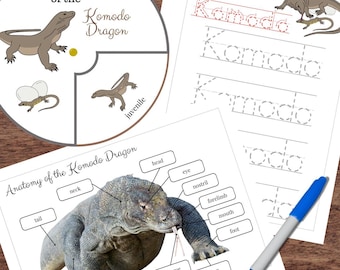 Paquete de estudio de ciclo de vida, anatomía y rastreo de palabras del DRAGÓN DE KOMODO inspirado en Montessori