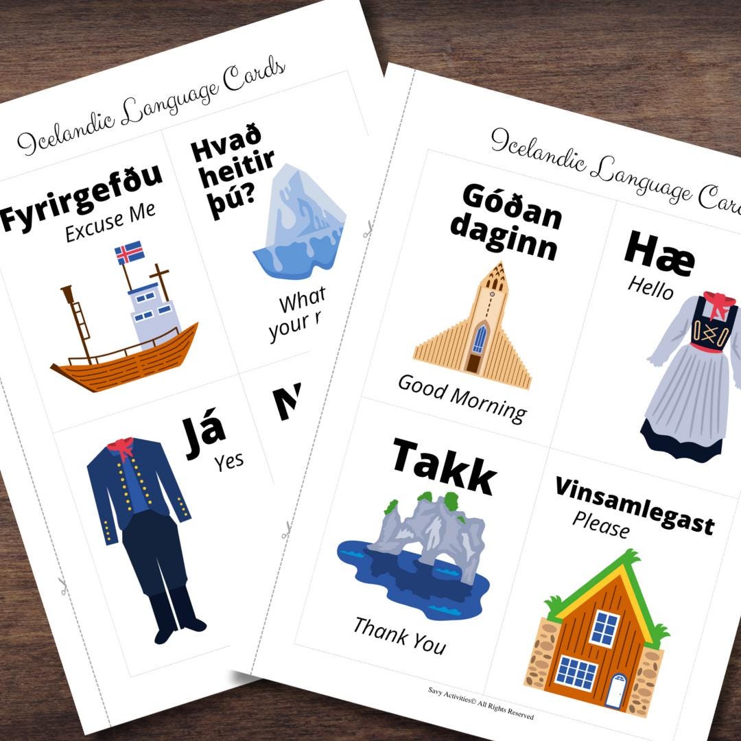 Full Color Icelandic Language Phrase Flashcards Cards Iceland