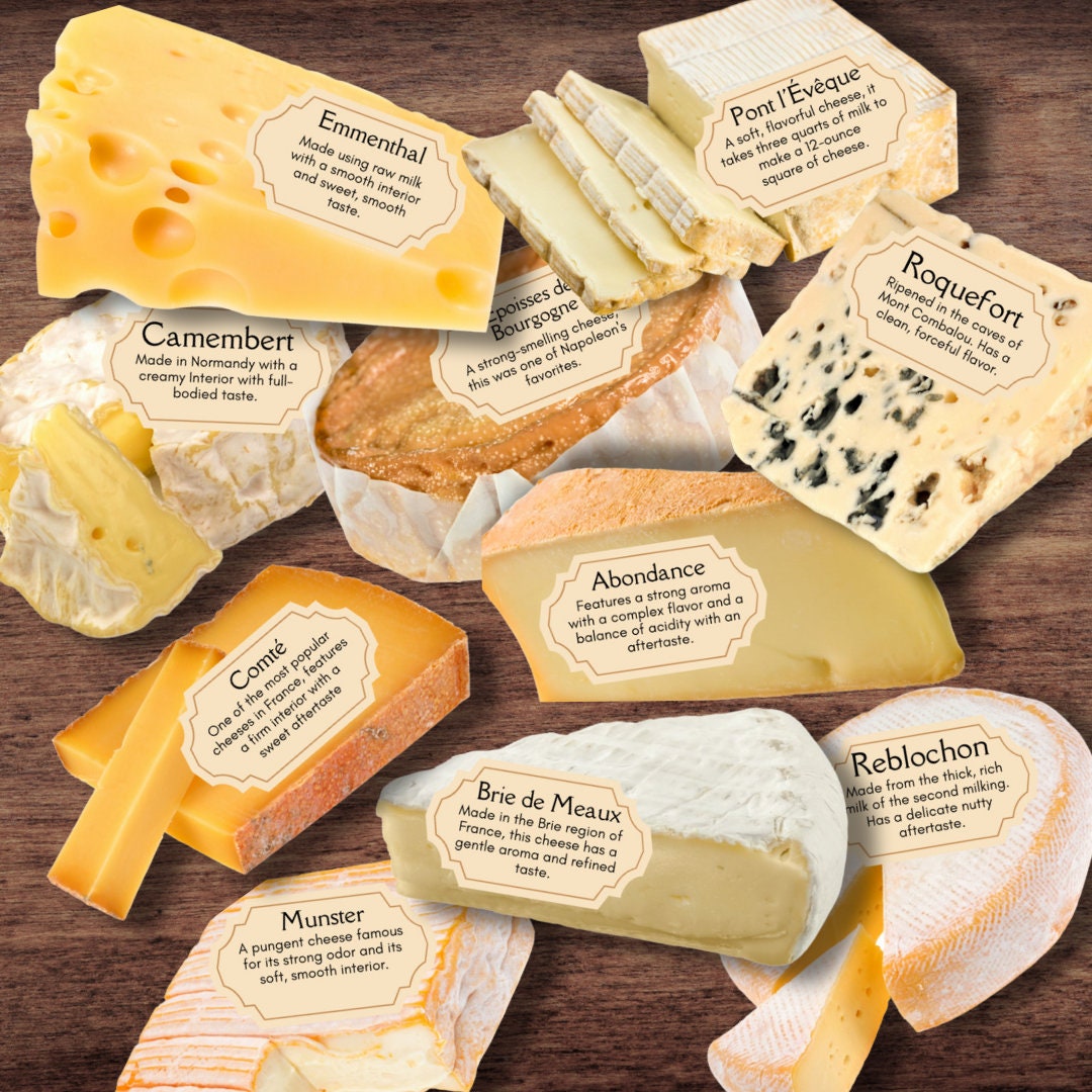 FRENCH France Cheese Info Cards W/full Color Illustrations *10
